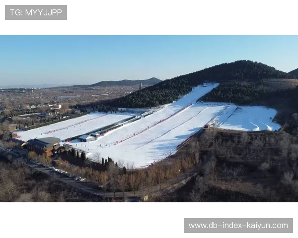 冰雪运动联盟推进智慧场馆建设与运行管理，冰雪运动协会成立
